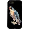 Urban Empyre Custodia per iPhone SE (2020) / 7/8 Falco pellegrino x Falco