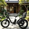HpJfdsU Bicicletta Elettrica a 3 Ruote, Bici Da Turismo Con Sella E Pneumatici Larghi, Display Lcd, Faro Anteriore, Telaio in Lega Di Alluminio, Portata 150 Kg, Per Adulti E Anziani Green