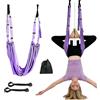 HRMGJH Cinghia elastica per yoga, ginnastica, telaio della porta, colore viola, tappetino terapeutico, accessori da ginnastica, accessori per yoga, adatto per pioli da parete per adulti, telaio della porta