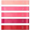 QSCTYG Banda di Resistenza La Resistenza Lega 5PCS Set Fitness Set Rubber Band Loop Yoga Gum Fitness Expander Forza di Formazione Allenamento Sport Elastic Band 33 (Color : Pink Red A Set)