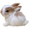Wwyan Mini conigli di simulazione, realistici simpatici conigli di peluche realistici coniglietti di peluche realistici miniature di coniglio, decorazioni bianche per feste in casa modello regalo miniature