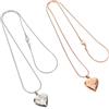 BESPORTBLE 2pezzi Collana Ciondolo per Urna per Animali Domestici in Acciaio Inossidabile Collana Porta Ceneri Forma di Cuore Contenitore per Ricordi di Cane e Gatto