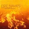 Daniel Grabois Fire Names: French Horn & Electronics (CD) Album