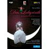 Arthaus Musik Das Labyrinth - Il Flauto Magico Seconda (DVD) Von Winter Peter