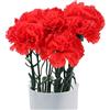 Amosfun - Garofani artificiali con fiori finti in seta, per la festa della mamma, matrimoni, decorazioni per la casa, regali (rosso)