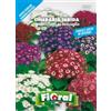 L'ORTOLANO Sementi da fiore di qualità in bustina per uso amatoriale (CINERARIA HYBRIDA GRANDIFLORA IN MISCUGLIO)