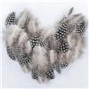HUCHQIAI Piume per fai da te, 100 pezzi, piume di faraona, 4,5 - 10 cm, piume di Pasqua, per fai da te, acchiappasogni, artigianato, piume decorative, Pasqua, carnevale, colore naturale