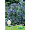 Germisem Borago Officinalis Semi di Borragine 2 g