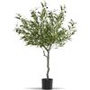 tectake® Albero di Ulivo Artificiale, Foglie Dettagliate con Olive Realistiche, Vaso Stabile in Plastica, Decorazione per Soggiorno, Ufficio e Interni, Facile da Pulire - 120 cm
