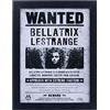Pyramid International HARRY POTTER (BELLATRIX WANTED)