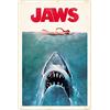 Grupo Erik Jaws (Poster Maxi 61X91,5 Cm)
