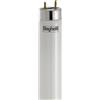 BEGHELLI Tubo LED T8 Ecoled G13 18W 4000K - 56232