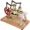 Fdit Motore Stirling Modello Bicilindrico Giocattolo Specchio Dorato Motore D...