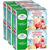 L'Angelica 6x L'Angelica Tisana a Freddo Sgonfiante Digestiva con Fragola Limone e Zenzero Senza Calorie - 108 Filtri