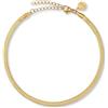 GD GOOD.designs EST. 2015 Cavigliera da donna - Catena serpente piatta da 3 mm in oro 18K, oro rosa o argentato | Acciaio inossidabile 316L | Resistente all'acqua, regolabile 22-27 cm, 22-27cm