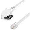 deleyCON 2m Cavi Telefonici TAE-F Maschio a RJ11 Maschio 6P4C Cavo Piatto Terminali Analogici a Presa Telefonica TAE-F Telefono Modem Router Segreteria Telefonica Bianco