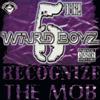 5th Ward Boyz Recognize Tha Mob Screwed (CD)