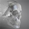 BardSpec Hydrogen (Vinyl LP) 12" Album