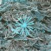 Shipwreck AD Abyss (CD) Album