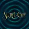 Sheryl Crow Evolution (Vinyl LP) 12" Album Coloured Vinyl