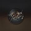 Maserati Enter the Mirror (Vinyl LP) 12" Album
