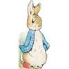 Beatrix Potter All About Peter (Libro di cartone) Peter Rabbit