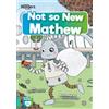Robin Twiddy Not So New Mathew (Tascabile) BookLife Readers