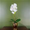 Leaf Orchidea artificiale, 46 cm, bianco/oro