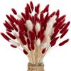 YUESIKJ 66 pezzi di decorazioni per erba della pampa, bouquet di erba della pampa, naturalmente essiccati, per matrimoni, bouquet da tavolo rustico, per feste di fattoria, baby shower (rosso e bianco)