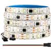 BTF-LIGHTING 5050SMD WS2814 IC RGBW 4in1 Striscia LED Indirizzabile RGB+Bianco Caldo 5M 60LEDs/m DC12V PCB Bianco IP65 Impermeabile Dreamcolor per DIY-Project Decorazione Della Casa (Solo Striscia)