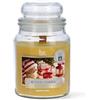 Magic Lights - Candela Profumata Giara Grande 510 gr - Collezione Invernale/Natalizi (vaniglia butter cookies)