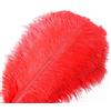DCRWVCTON 20 piume naturali di struzzo piuma 10-12 pollici (25-30 cm) per i centri di nozze decorazione della casa (25-30 cm), rosso)