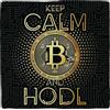 Plenty Gifts Cartello Alluminio - Deco Tile Keep Calm Hodl - Targa decorativa - Motivo criptovalute - Decorazione da parete - Flamingo
