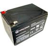 RIRICAR Batteria al Piombo sigillata a Ciclo Profondo 12V10Ah