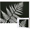 kkvhhyuo Puzzle con stampa di foglie di felce con silhouette di piante naturali, 500 pezzi, per adulti, puzzle colorati per la decorazione della casa, regali per la famiglia, perfetto per serate di gioco