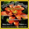 Bollanger Jean Momenti Musicali Vol.16. Invito Al Valzer (CD)