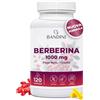 Bandini® Berberina 1000mg pura alto dosaggio | 120 capsule vegane - Berberin HCl da Berberis Aristata al 97% + Cromo e Pepe Nero | Massimo assorbimento - Funzione digestiva, epatica, intestinale