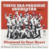 cutting edge Diamond In Your Heart - 東京スカパラダイスオーケストラ