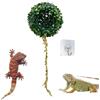 Generic Gecko Habitat - lavabili per serbatoio a forma di palla di muschio, per lucertole, per leopardi, gechi, gechi, draghi, barbuti, , tarantole, eremiti, granchi, rane, lucertole