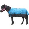 Gallopoff Mini coperta per pony shetland, impermeabile, 1200D, leggero, 0 g, per cavalli, asini in miniatura e sezione A (senza imbottitura), blu pavone, 15,2 cm