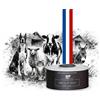 Distillerie des Cévennes Distillerie des Cvennes - Olio di Cade Vera 250 g, pronto all'uso