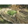 Vialca Rete Nido d'Ape Beige per LA Raccolta delle Olive 12X12 con Spacco Laterale