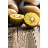 eGarden.store - Pianta vera di Kiwi Giallo o Actinidia Deliciosa Golden Femmina diverse grandezze - Albero da frutto di kiwi giallo commestibile in vaso da coltivare all'esterno