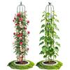 LATERN 1 Pezzi Traliccio da Giardino a Forma di Obelisco per Piante Rampicanti, 180CM Alto Struttura per Traliccio per Piante Rampicanti in Metallo per Vasi Pianta Rosa Cetriolo Fiori Pisello (Verde)