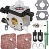 ZAMDOE Carburatore FS38 per Stihl FS 38 FS55R FS45 FS46 FS55 FS55C FS 55R 2-Mix Decespugliatori Decespugliatore Sostituisce per ZAMA C1Q-S282 4140 120 0623 41401200623B (Dopo Il 2013-2015)