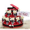 Viale Magico Torta Bomboniere Laurea, Torta Sacchetti con Portachivi Laurea, 25 Sacchetti Laurea bomboniere economiche ed Originali (Portachiavi Albero Laurea)