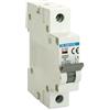 Glowster Interruttore magnetotermico 1 polo 10A 6kA, protezione dei circuiti elettrici, prevenzione del sovraccarico, ideale per impianti domestici.