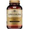 SOLGAR IT. MULTINUTRIENT SpA LIPO COLINA 100CPS VEGETALI