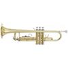 PROEL Ida Maria Grassi GR STR500 - Tromba completa di astuccio, imboccatura e accessori per la manutenzione, ottimo strumento per lo studente o per bande musicali in chiave: SIb con Campana: 117 mm.