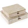 SUMNACON 2PCS Cestino in rattan in seagrass naturale con coperchio, cestini per lavori manuali, contenitori di ordinamento, cestini per ordine, cestino per cucina, bagno, camera da letto, grande+